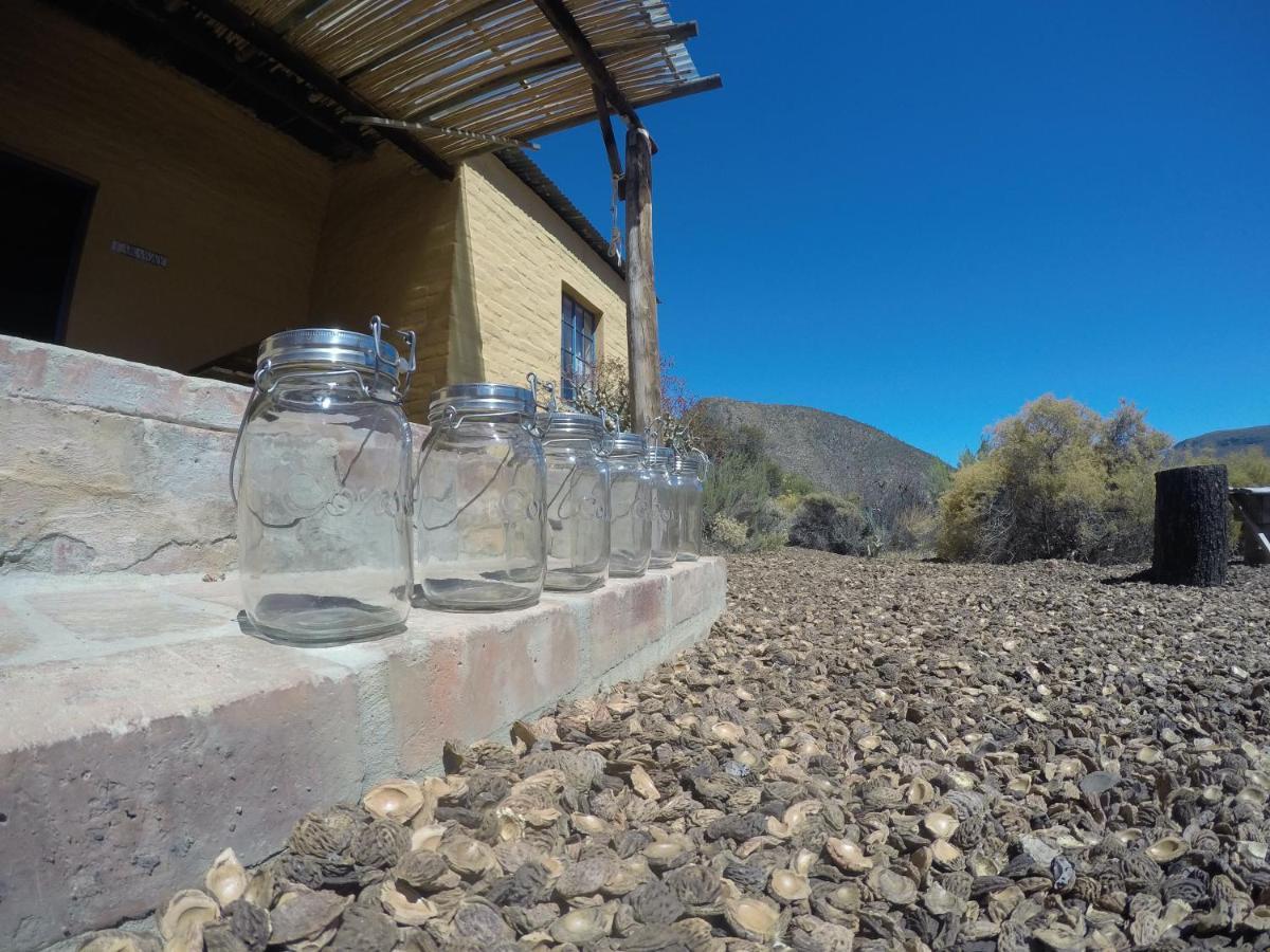 Simonskloof Mountain Retreat Villa Montagu Exterior foto